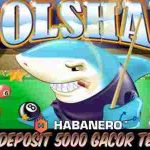 Link Slot Deposit 5000 Gacor Terpercaya Pool Shark